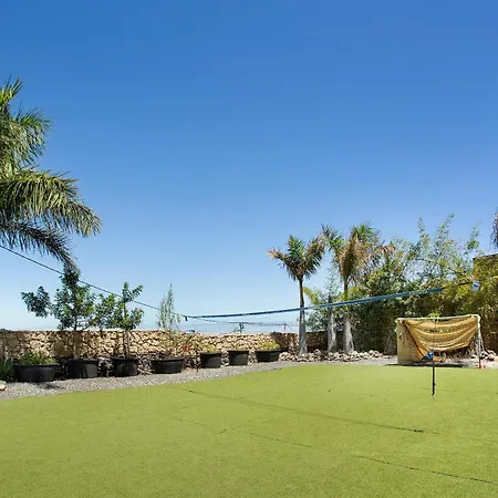 Palmeras グイマー