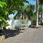 Palmeras